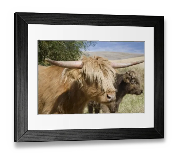 Framed Print : USA, North America, Washington Framed Print : USA, North America, Washington