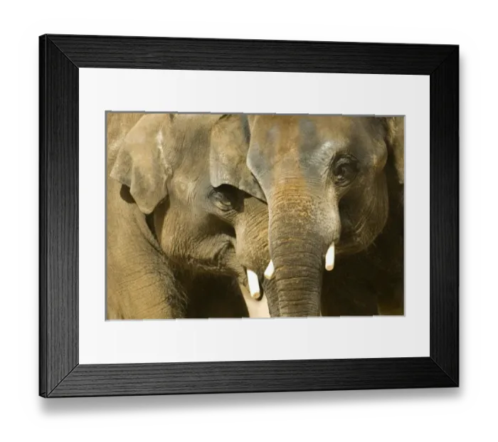 Framed Print : USA, North America, New Mexico Framed Print : USA, North America, New Mexico