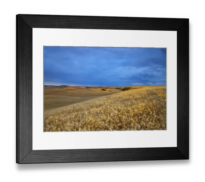 Framed Print : Rolling Hills of barley wheat and lentil peas in the Palouse near Pullman, Washington Framed Print : Rolling Hills of barley wheat and lentil peas in the Palouse near Pullman, Washington