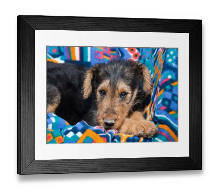 Framed Print : USA, North America, New Mexico