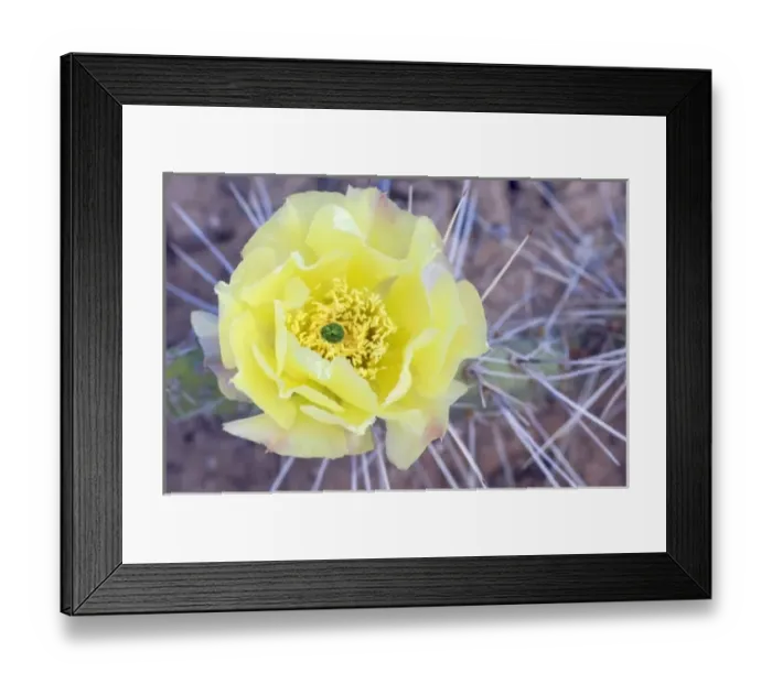 Framed Print : USA, North America, Utah Framed Print : USA, North America, Utah