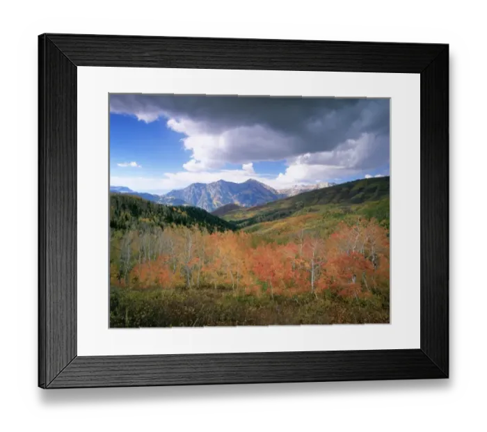 Framed Print : Fall colors near Mount Timpanogos, Uinta National Forest, Utah