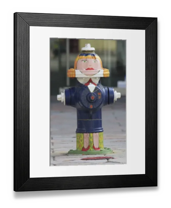 Framed Print : USA, North America, Texas