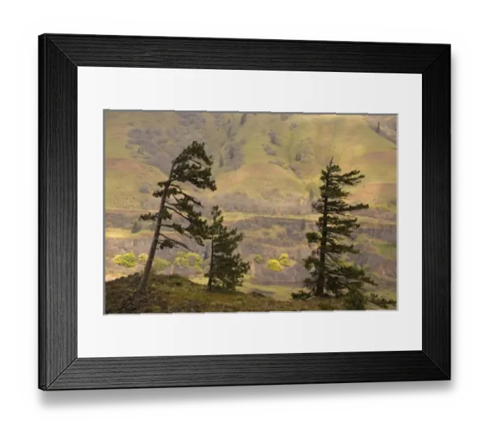 Framed Print : USA, North America, Oregon