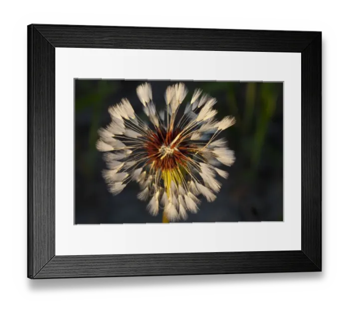 Framed Print : USA, North America, North Dakota Framed Print : USA, North America, North Dakota