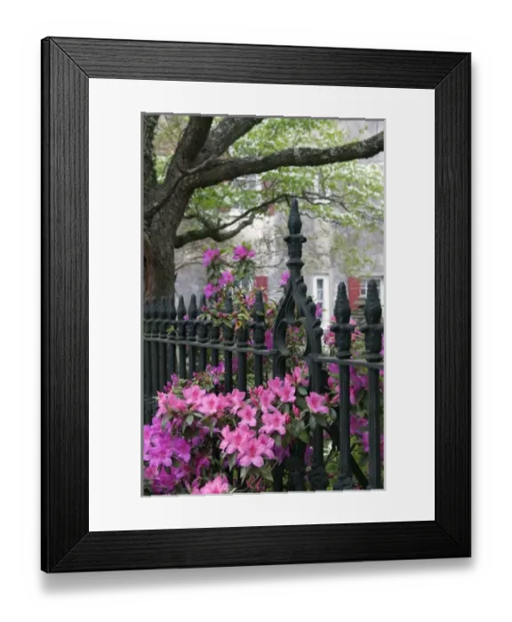 Framed Print : USA, North America, South Carolina Framed Print : USA, North America, South Carolina