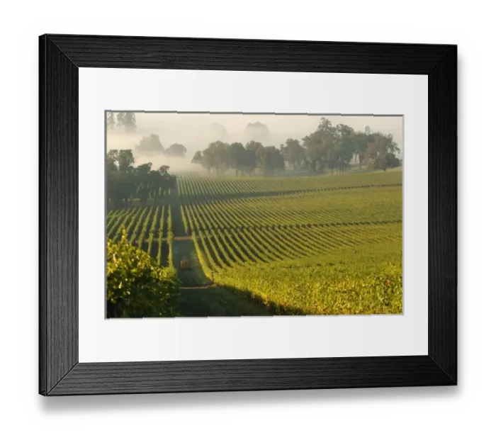 Framed Print : USA, North America, Oregon