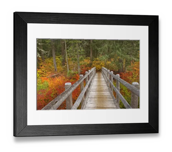Framed Print : USA, Oregon, Willamette National Forest. Wooden foot bridge on the McKenzie River Trail Framed Print : USA, Oregon, Willamette National Forest. Wooden foot bridge on the McKenzie River Trail