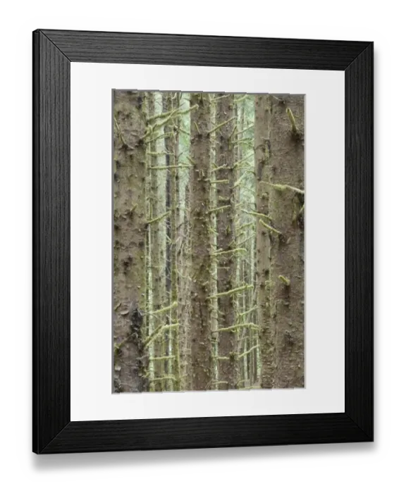 Framed Print : USA, North America, Oregon Framed Print : USA, North America, Oregon