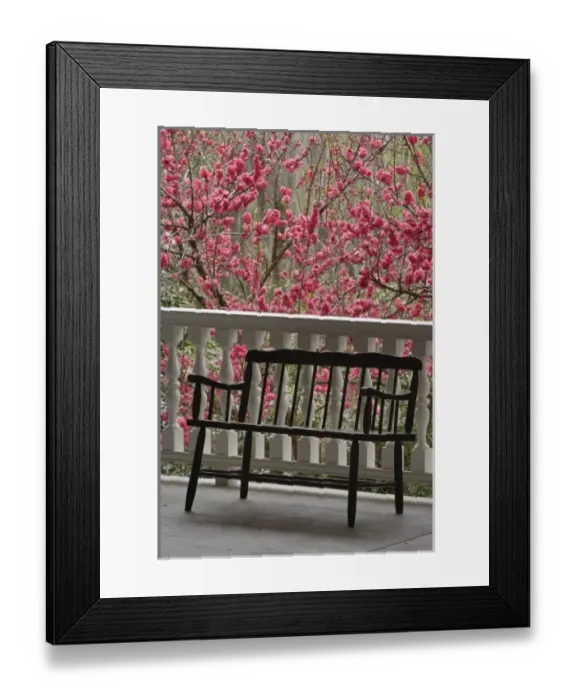 Framed Print : Black chair on porch, Magnolia Plantation, Charleston, South Carolina Framed Print : Black chair on porch, Magnolia Plantation, Charleston, South Carolina