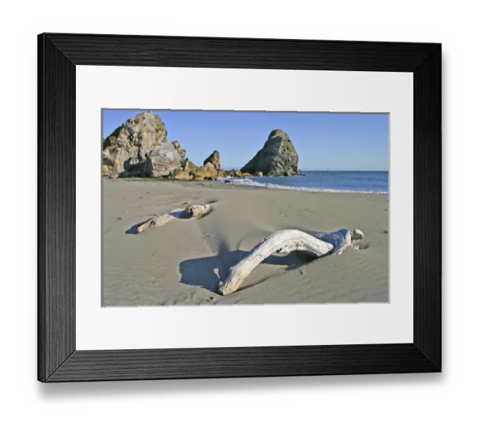 Framed Print : Driftwood and sea stack rock formations at beach in Harris Beach State Park near