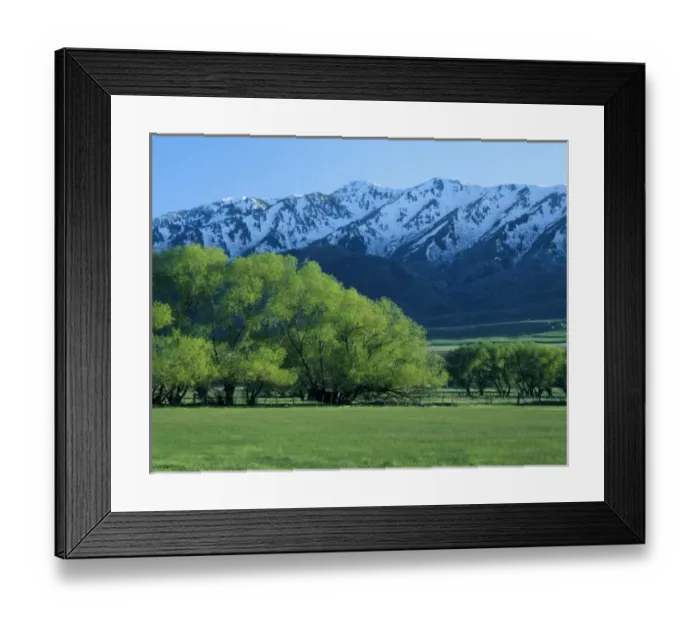 Framed Print : Utah. USA. Willow trees in spring below Wellsville Mountains. Near Mendon. Cache Valley Framed Print : Utah. USA. Willow trees in spring below Wellsville Mountains. Near Mendon. Cache Valley