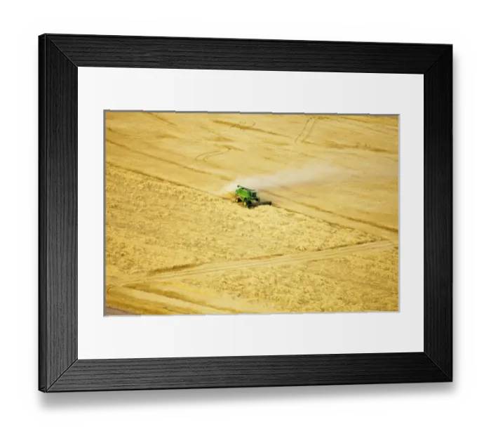 Framed Print : Aerial of combines harvesting wheat crop in the Palouse Region near Pullman, Washington Framed Print : Aerial of combines harvesting wheat crop in the Palouse Region near Pullman, Washington
