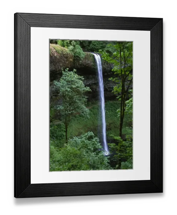 Framed Print : North America, USA, Oregon, Silver Falls State Park. North Falls Framed Print : North America, USA, Oregon, Silver Falls State Park. North Falls