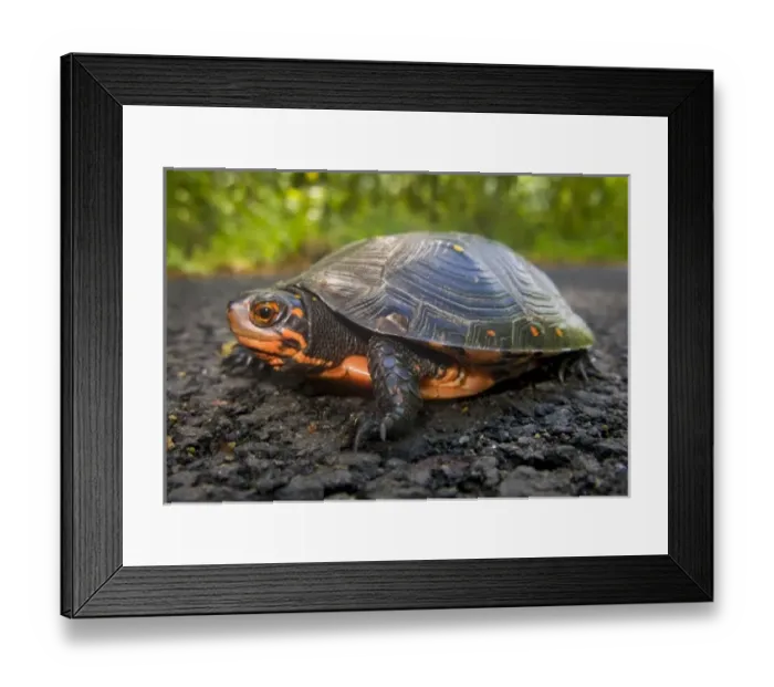 Framed Print : USA, North America, New Jersey