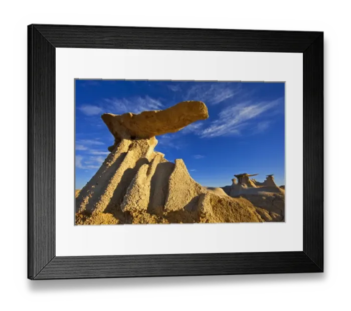 Framed Print : The Stone Wings badlands formations in the Bisti Wilderness in San Juan County, New Mexico