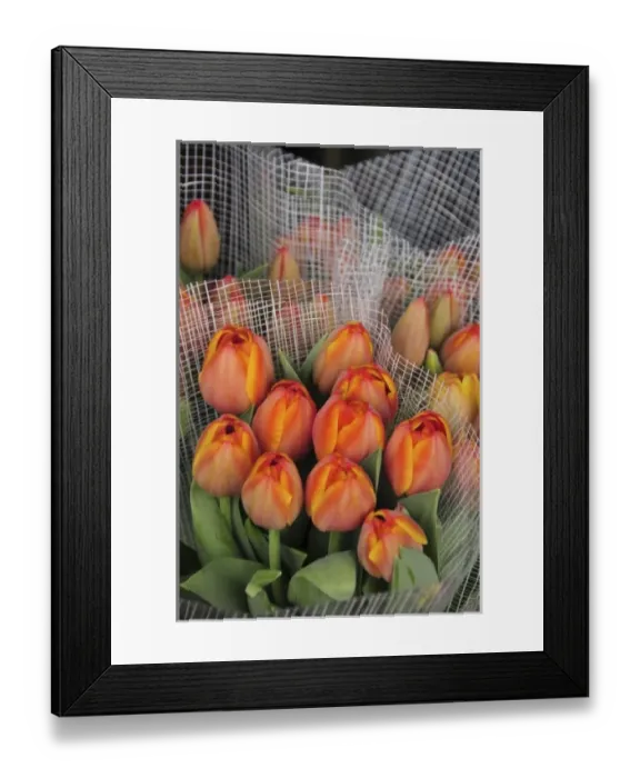 Framed Print : USA, Oregon, Portland. Bouquets of spring tulips for sale at floral shop Framed Print : USA, Oregon, Portland. Bouquets of spring tulips for sale at floral shop