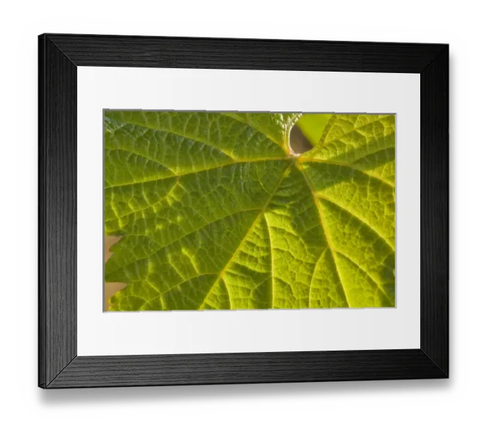 Framed Print : USA, North America, Oregon Framed Print : USA, North America, Oregon