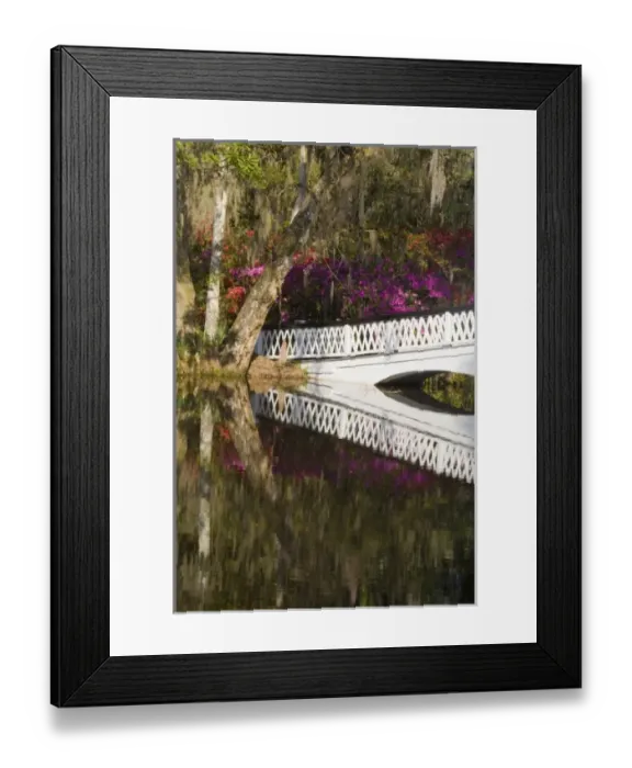 Framed Print : USA, North America, South Carolina