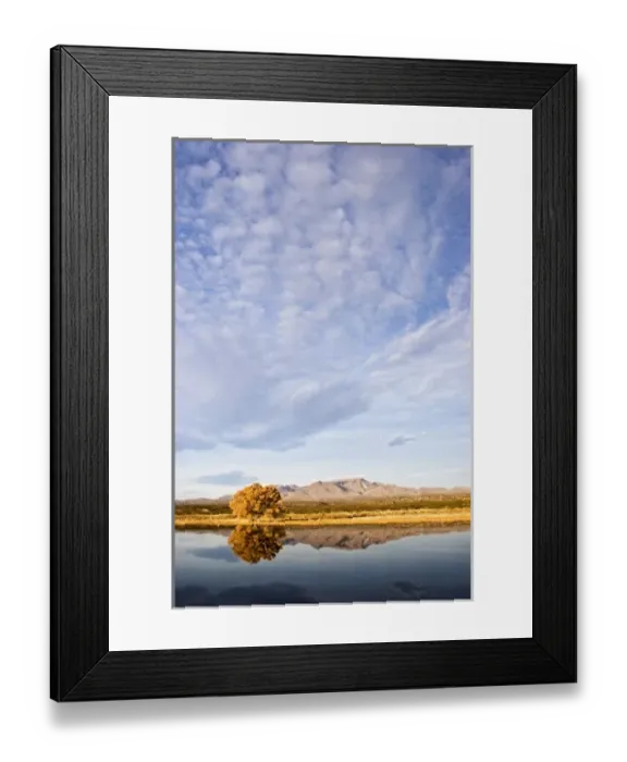 Framed Print : USA, North America, New Mexico Framed Print : USA, North America, New Mexico