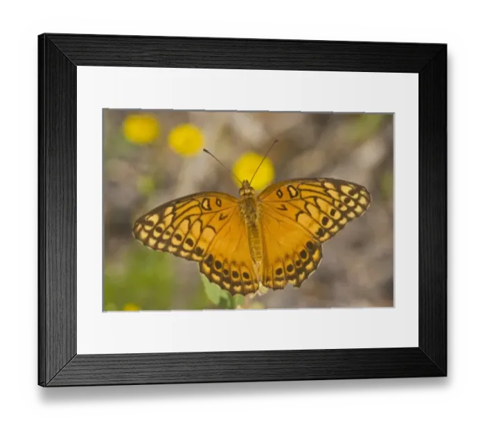 Framed Print : USA, North America, Texas Framed Print : USA, North America, Texas