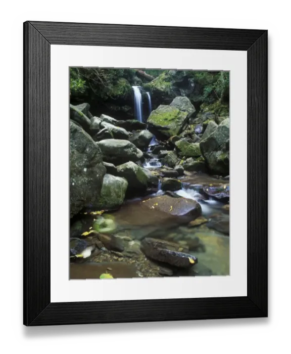 Framed Print : USA, North America, Tennessee Framed Print : USA, North America, Tennessee