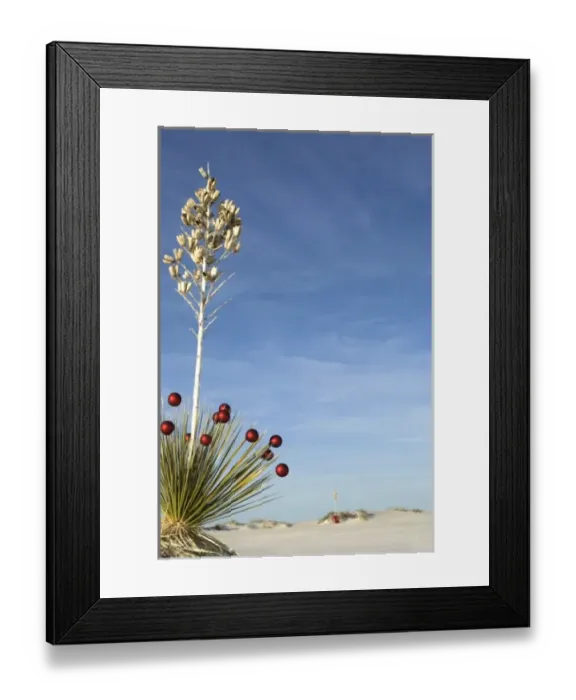Framed Print : White Sands National Monument, New Mexico, United States Framed Print : White Sands National Monument, New Mexico, United States