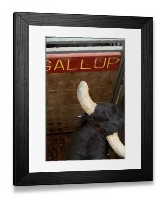 Framed Print : USA, North America, New Mexico