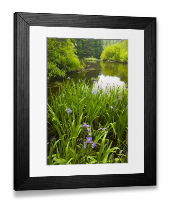 Framed Print : USA, North America, New Hampshire Framed Print : USA, North America, New Hampshire