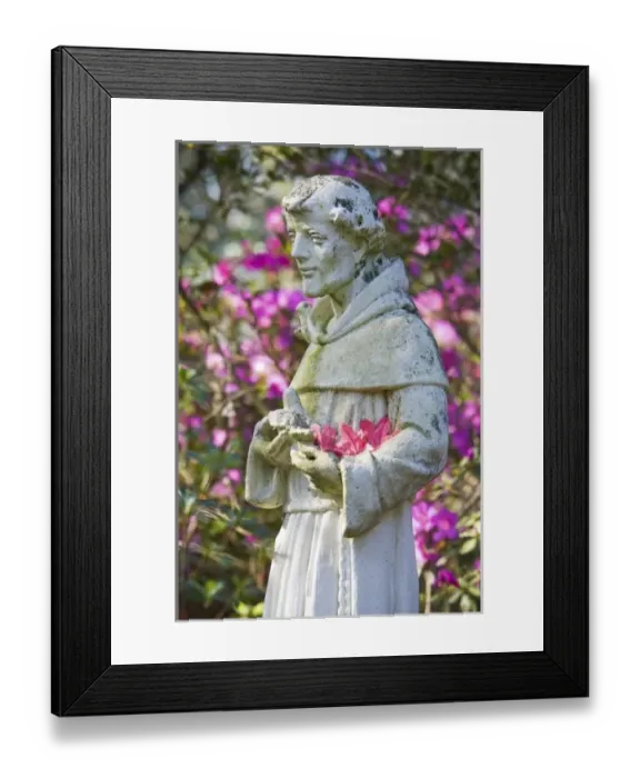 Framed Print : USA, South Carolina, Charleston. Garden Statue and Blooming Azaleas at Magnolia Plantation
