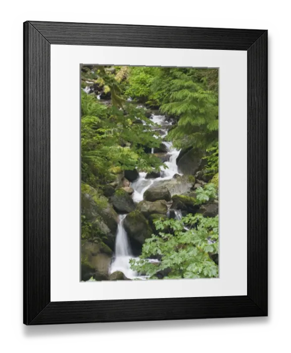 Framed Print : USA, North America, Washington