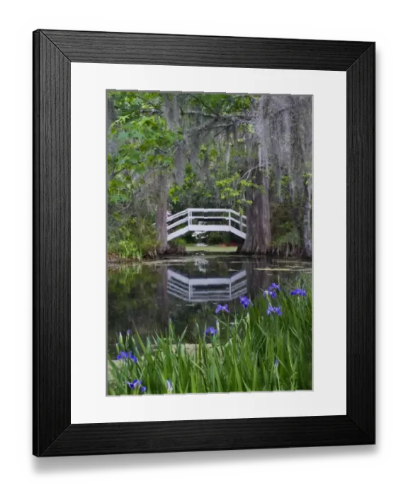 Framed Print : USA, South Carolina, Magnolia Gardens. Wooden footbridge reflects in pond Framed Print : USA, South Carolina, Magnolia Gardens. Wooden footbridge reflects in pond