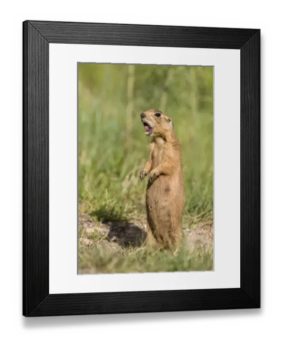 Framed Print : USA, North America, Utah Framed Print : USA, North America, Utah