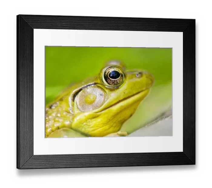 Framed Print : USA, North America, New Jersey Framed Print : USA, North America, New Jersey