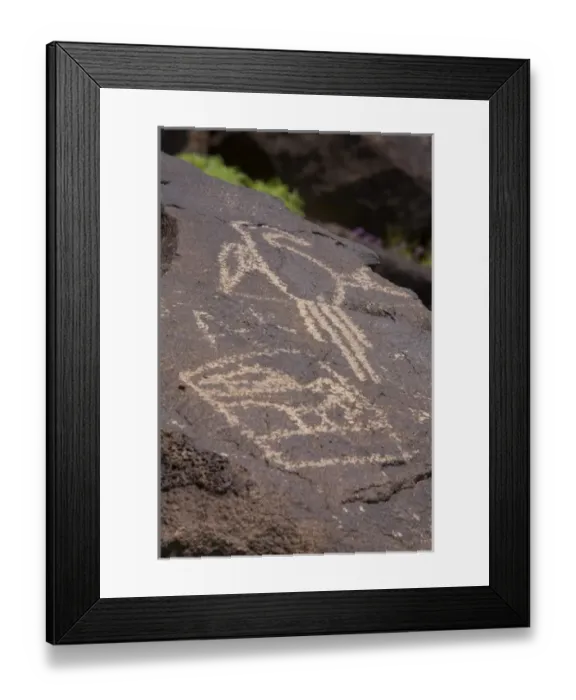 Framed Print : NM, New Mexico, Albuquerque, Petroglyph National Monument, Boca Negra Canyon, petroglyphs Framed Print : NM, New Mexico, Albuquerque, Petroglyph National Monument, Boca Negra Canyon, petroglyphs