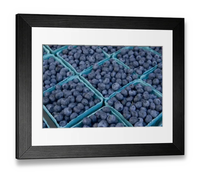 Framed Print : US: Oregon, Columbia River Basin, Portland, blueberries at farmers market outside Framed Print : US: Oregon, Columbia River Basin, Portland, blueberries at farmers market outside