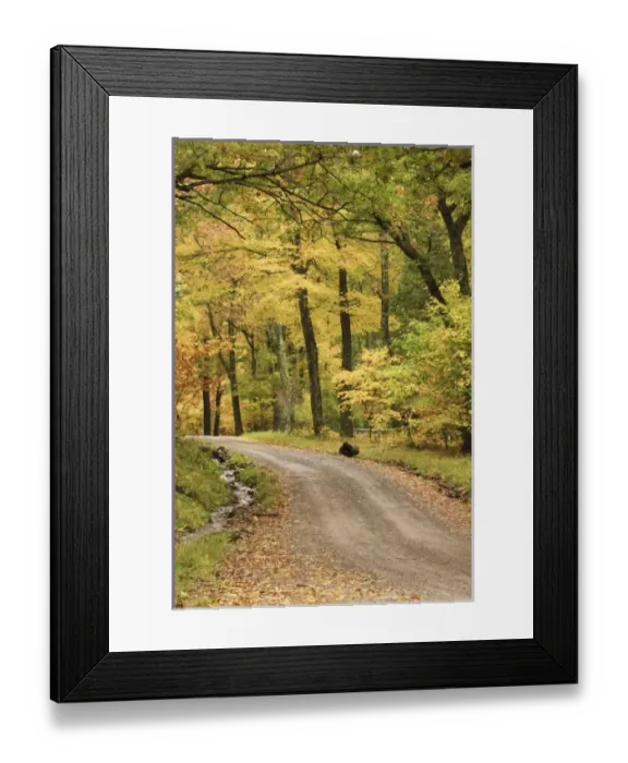 Framed Print : USA, North America, Virginia Framed Print : USA, North America, Virginia