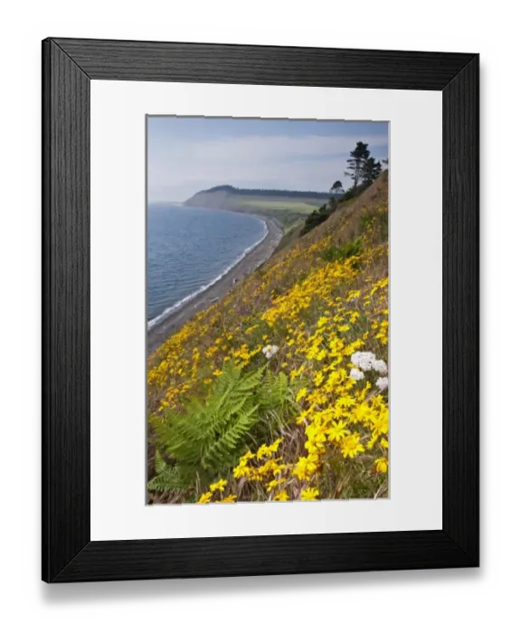 Framed Print : USA, North America, Washington Framed Print : USA, North America, Washington