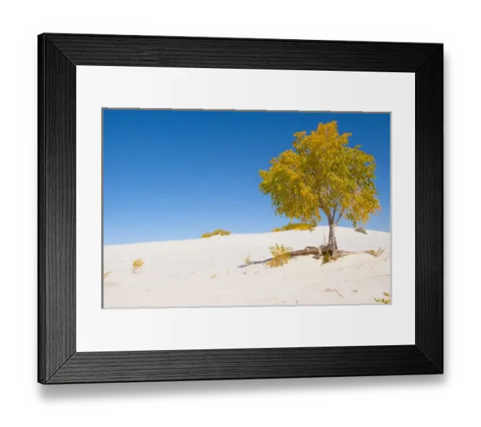 Framed Print : North America, USA, New Mexico, White Sands National Monument, Dune Life Nature Trail Framed Print : North America, USA, New Mexico, White Sands National Monument, Dune Life Nature Trail