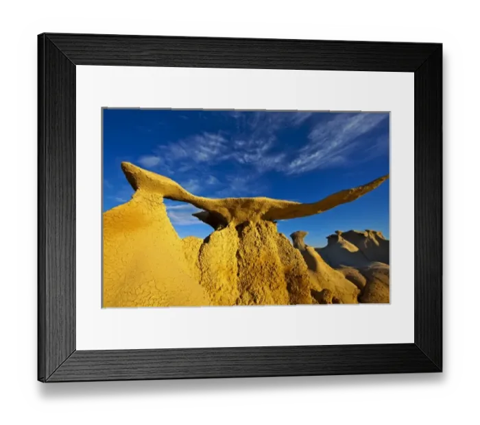 Framed Print : The Stone Wings badlands formations in the Bisti Wilderness in San Juan County, New Mexico Framed Print : The Stone Wings badlands formations in the Bisti Wilderness in San Juan County, New Mexico