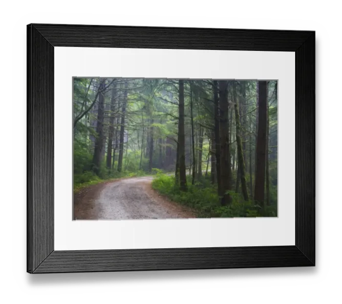 Framed Print : Dirt Roadway in Rain along the Oregon Coast near Neptune Beach State Park Framed Print : Dirt Roadway in Rain along the Oregon Coast near Neptune Beach State Park
