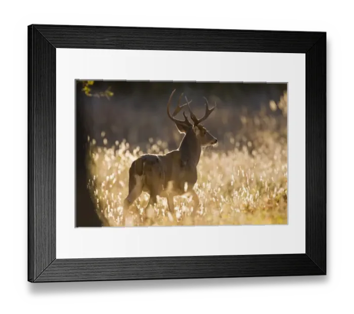 Framed Print : USA, North America, Oklahoma Framed Print : USA, North America, Oklahoma