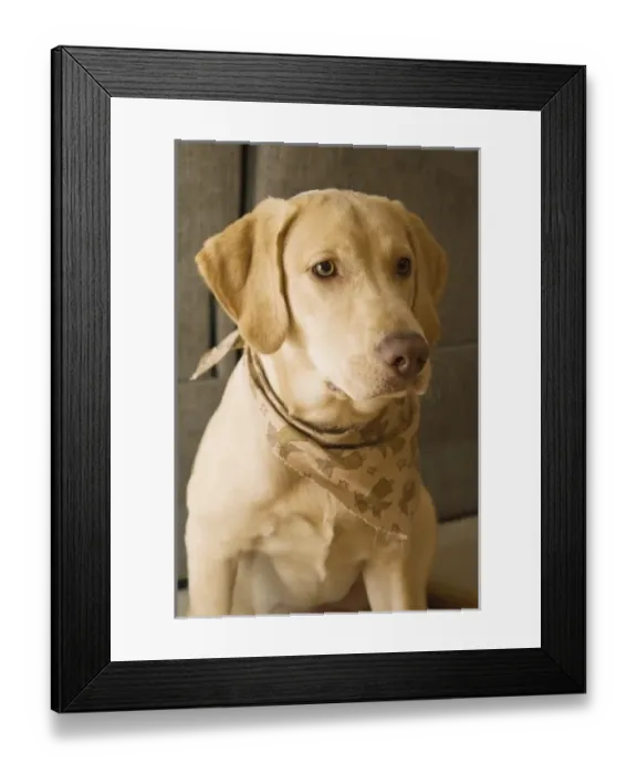 Framed Print : USA, North America, Oregon