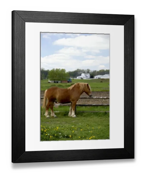 Framed Print : USA, North America, Ohio Framed Print : USA, North America, Ohio