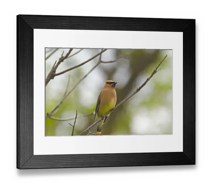 Framed Print : USA, North America, North Dakota Framed Print : USA, North America, North Dakota