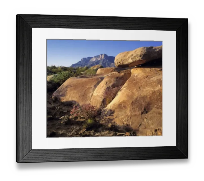 Framed Print : Guadelupe Mountains NP. El Capitan Peak dominates the sculpted, arid landscape below Framed Print : Guadelupe Mountains NP. El Capitan Peak dominates the sculpted, arid landscape below