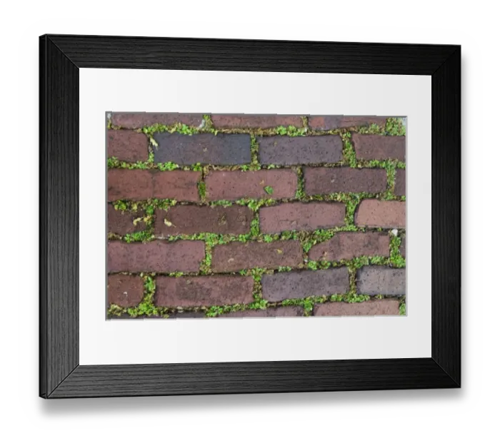 Framed Print : Charleston, South Carolina, USA. Moss grows between the bricks in historic Charleston Framed Print : Charleston, South Carolina, USA. Moss grows between the bricks in historic Charleston
