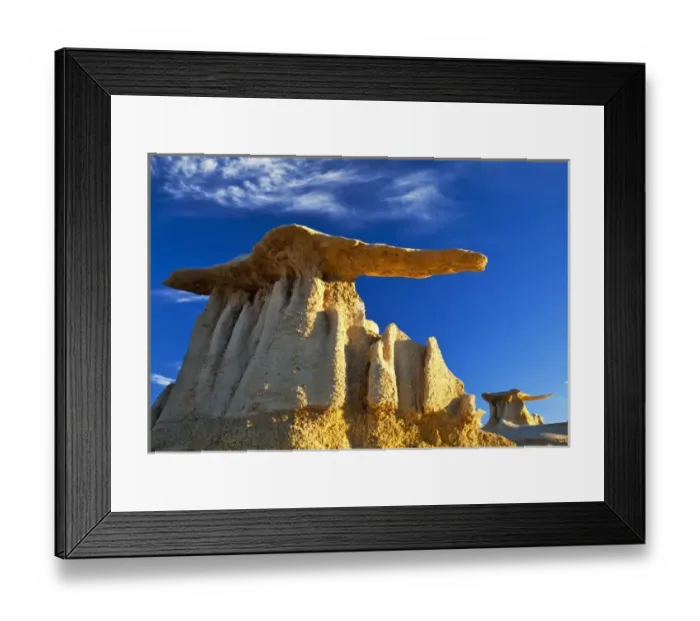 Framed Print : The Stone Wings badlands formations in the Bisti Wilderness in San Juan County, New Mexico Framed Print : The Stone Wings badlands formations in the Bisti Wilderness in San Juan County, New Mexico