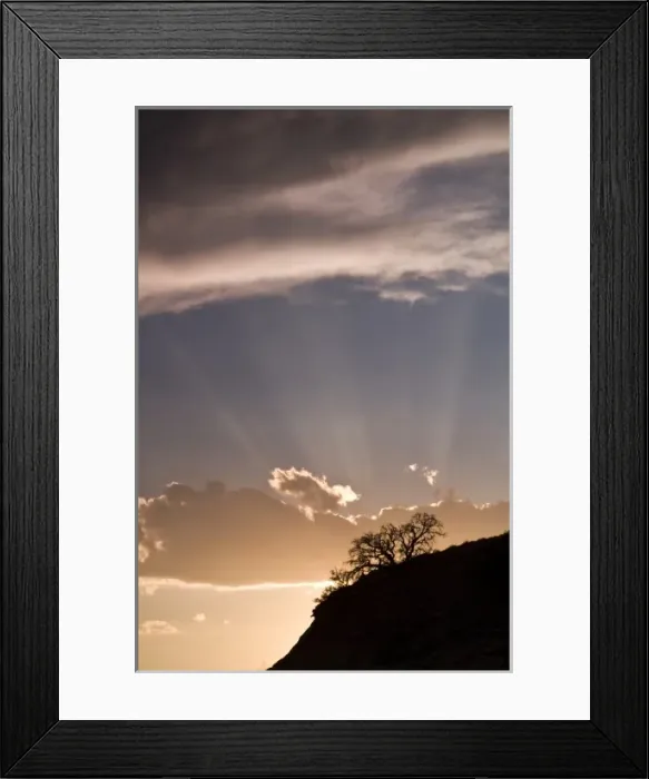 Framed Print : Crepuscular rays radiate across the sky at sunset above desert plants outside of Framed Print : Crepuscular rays radiate across the sky at sunset above desert plants outside of