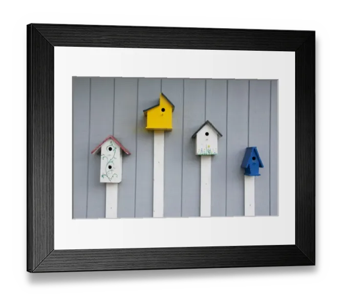 Framed Print : North Carolina, Beaufort. Four bird houses Framed Print : North Carolina, Beaufort. Four bird houses